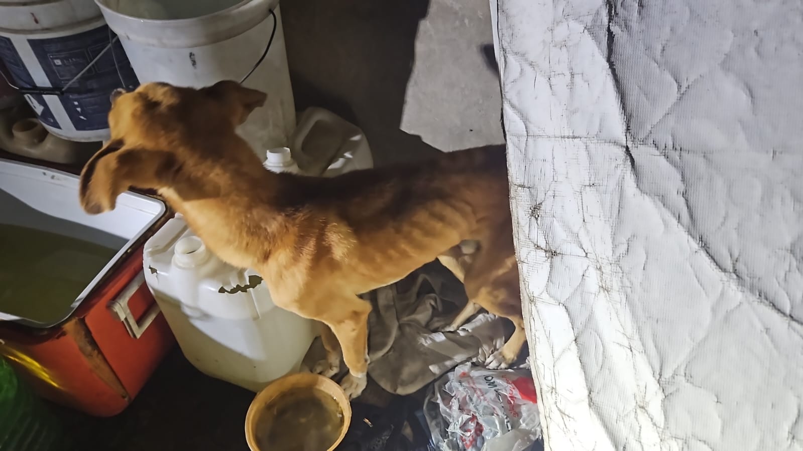 WhatsApp Image 2025-10-06 at 1.28.26 PM