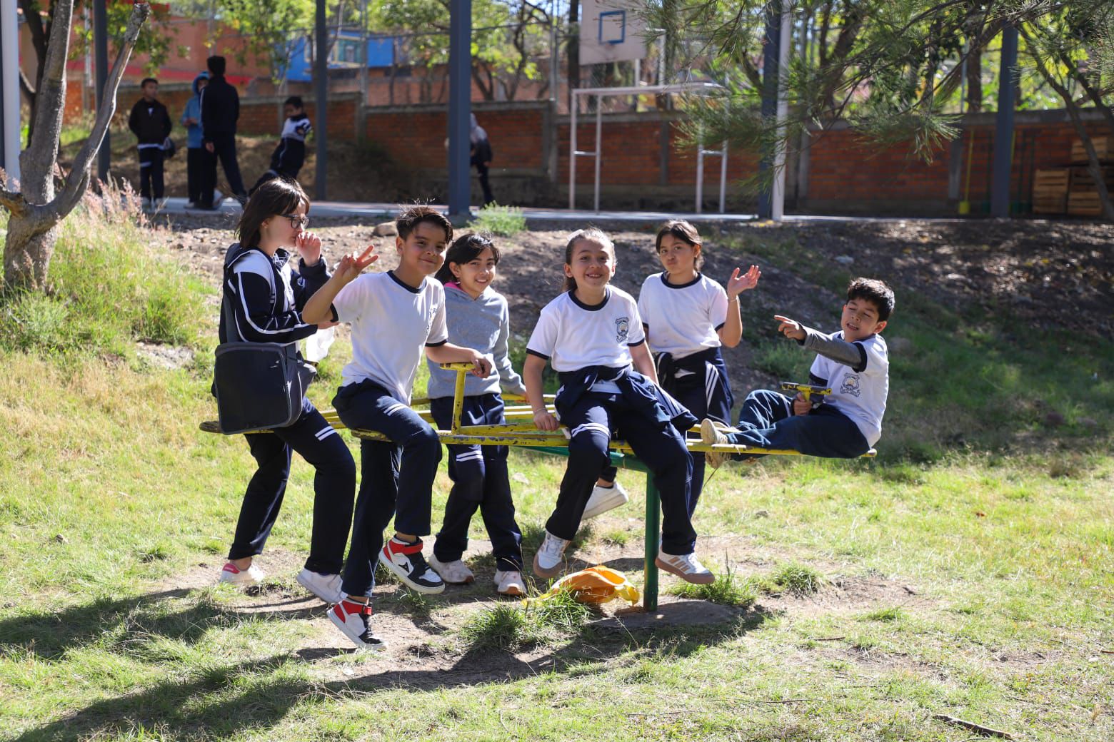 WhatsApp Image 2025-11-13 at 10.31.17 AM