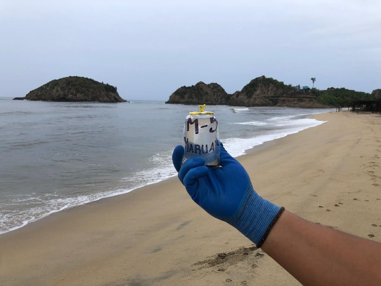 WhatsApp Image 2026-03-31 at 8.06.21 AM